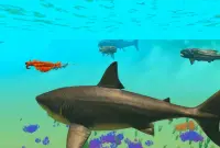 Megalodon Dino Survival Sim
