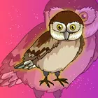 GlaucidiumOwlEscapeFromCage