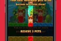 Cat Candy Puzzle~PetCandy 2024